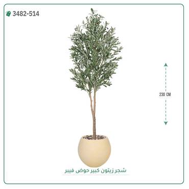 صورة مصغرة 4