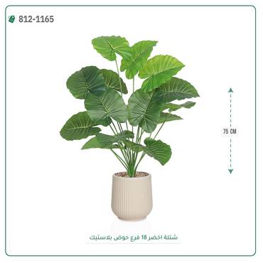 صورة مصغرة 4