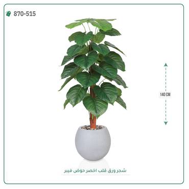 صورة مصغرة 2