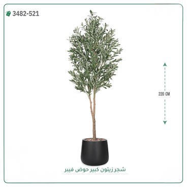 صورة مصغرة 10