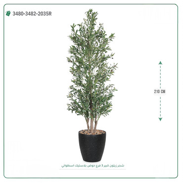 صورة مصغرة 2