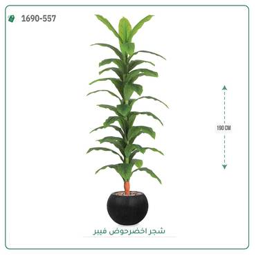 صورة مصغرة 1
