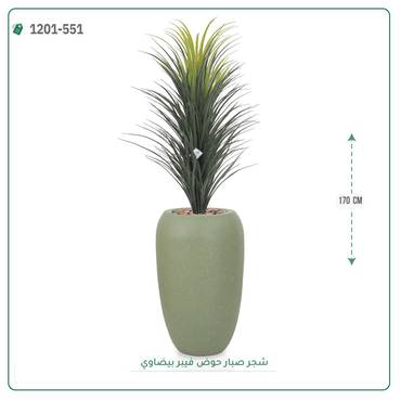 صورة مصغرة 6