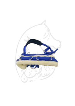 صورة مصغرة 2