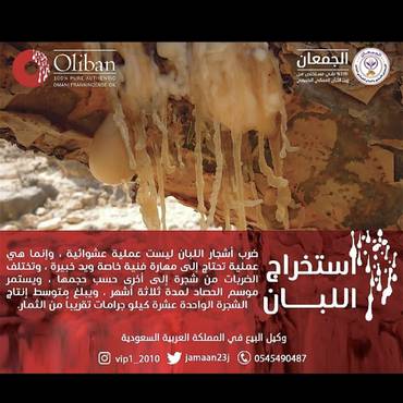 صورة مصغرة 3