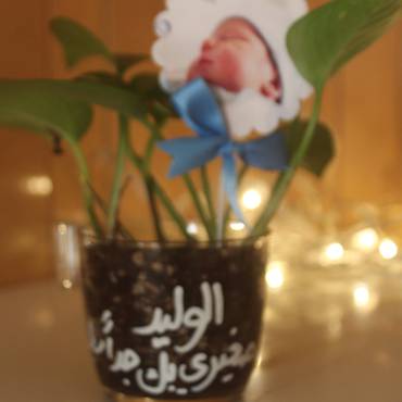 صورة مصغرة 4