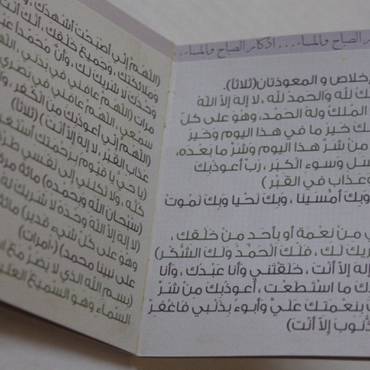 صورة مصغرة 7