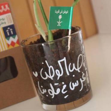 صورة مصغرة 3