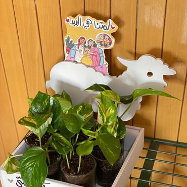 صورة مصغرة 1