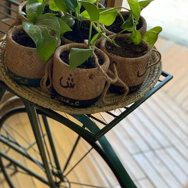 صورة مصغرة 4