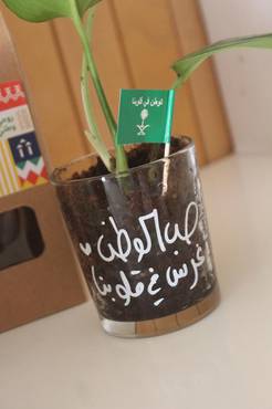صورة مصغرة 3