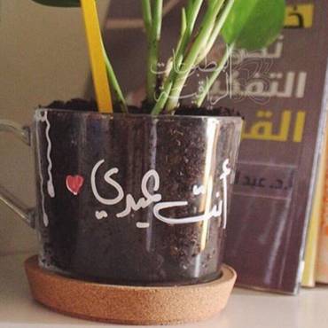 صورة مصغرة 3