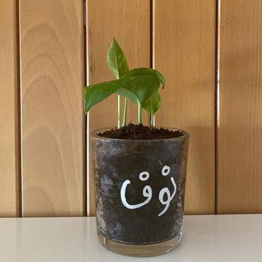 صورة مصغرة 4