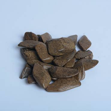 صورة مصغرة 3