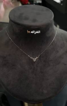 صورة مصغرة 1
