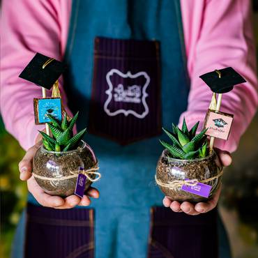 صورة مصغرة 3
