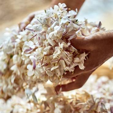 صورة مصغرة 4