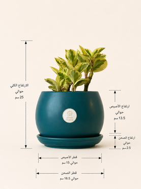 صورة مصغرة 2