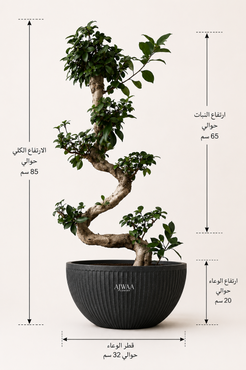 صورة مصغرة 2