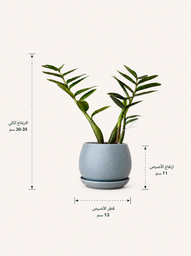 صورة مصغرة 2