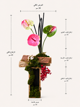 صورة مصغرة 2