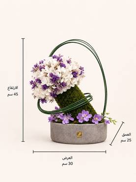 صورة مصغرة 2