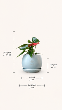 صورة مصغرة 2