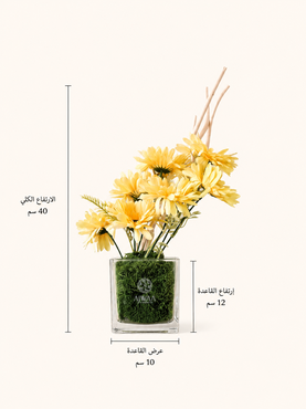 صورة مصغرة 2