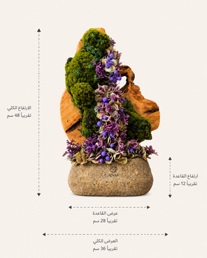 صورة مصغرة 2