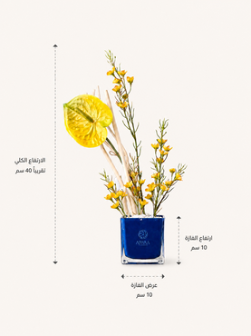 صورة مصغرة 2