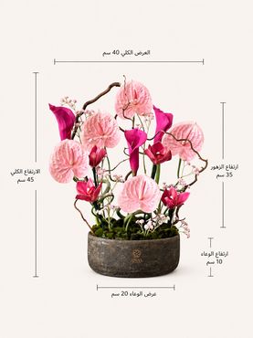 صورة مصغرة 2
