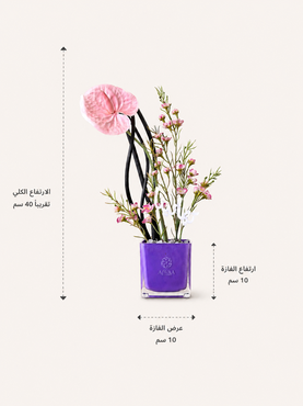 صورة مصغرة 2