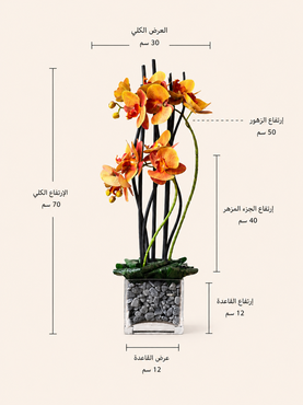 صورة مصغرة 2