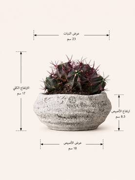 صورة مصغرة 2
