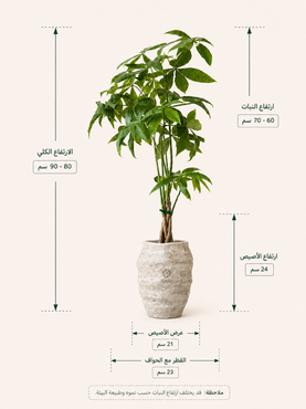 صورة مصغرة 2