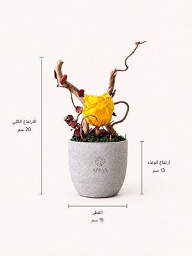 صورة مصغرة 2