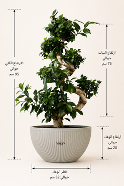 صورة مصغرة 2