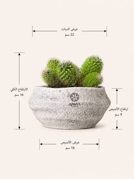 صورة مصغرة 2