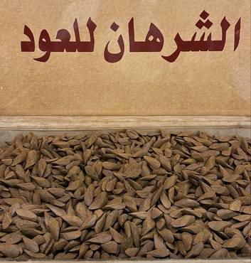 صورة مصغرة 2