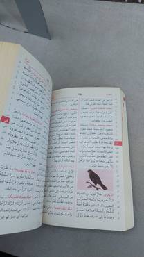 صورة مصغرة 2
