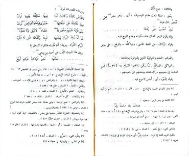 صورة مصغرة 5