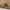 اقراط انيلا_image_5