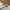 اقراط فاليتا_image_5