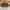 سلسال يوكي_image_1