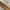 سلسال ويلو _image_3