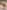 TR146_image_0