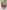 TR74_image_0