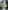 TR66_image_0