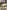 TR95_image_0