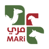 التوصيل